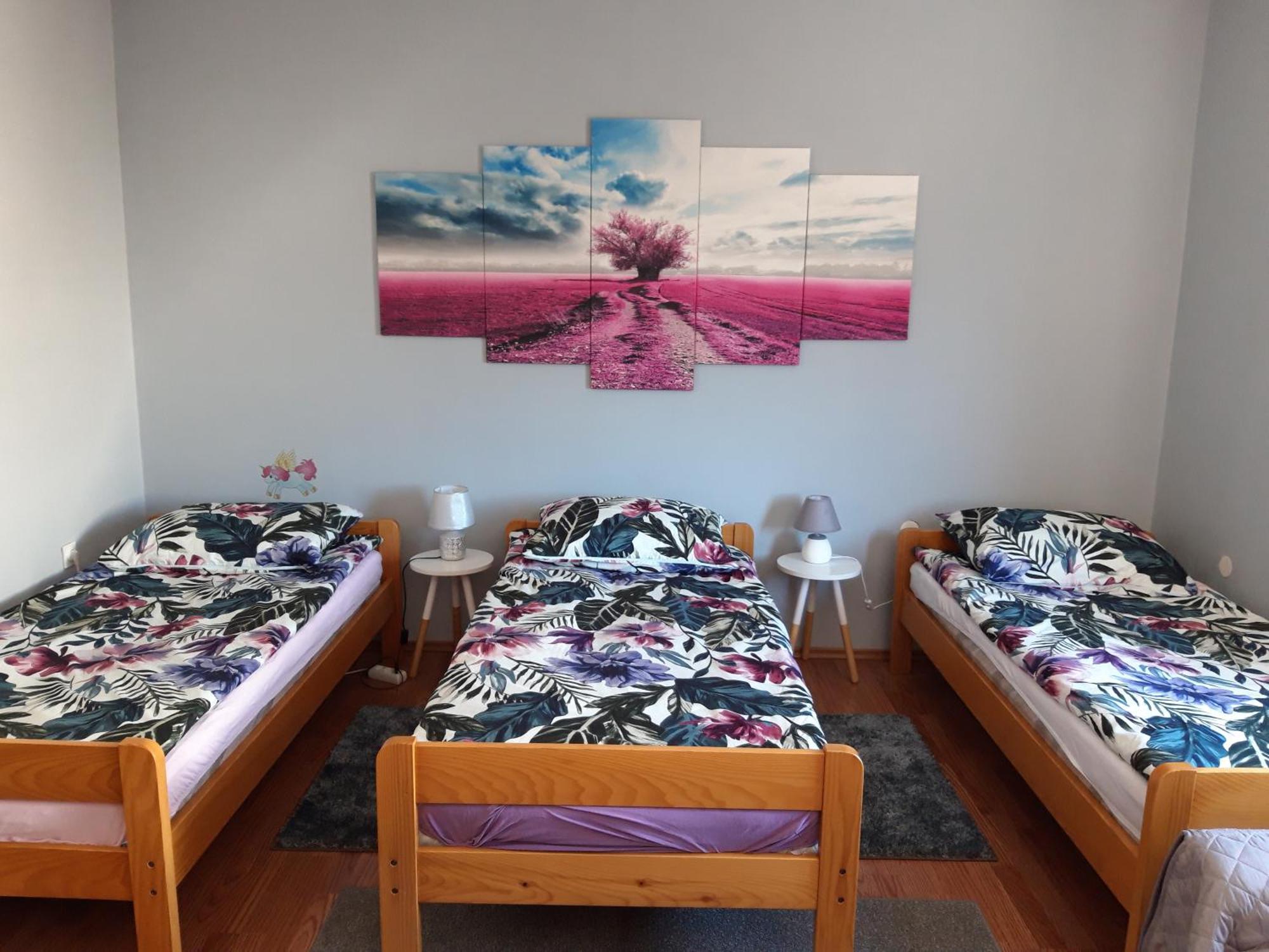 Studio apartman CENTAR Ogulin Bagian luar foto