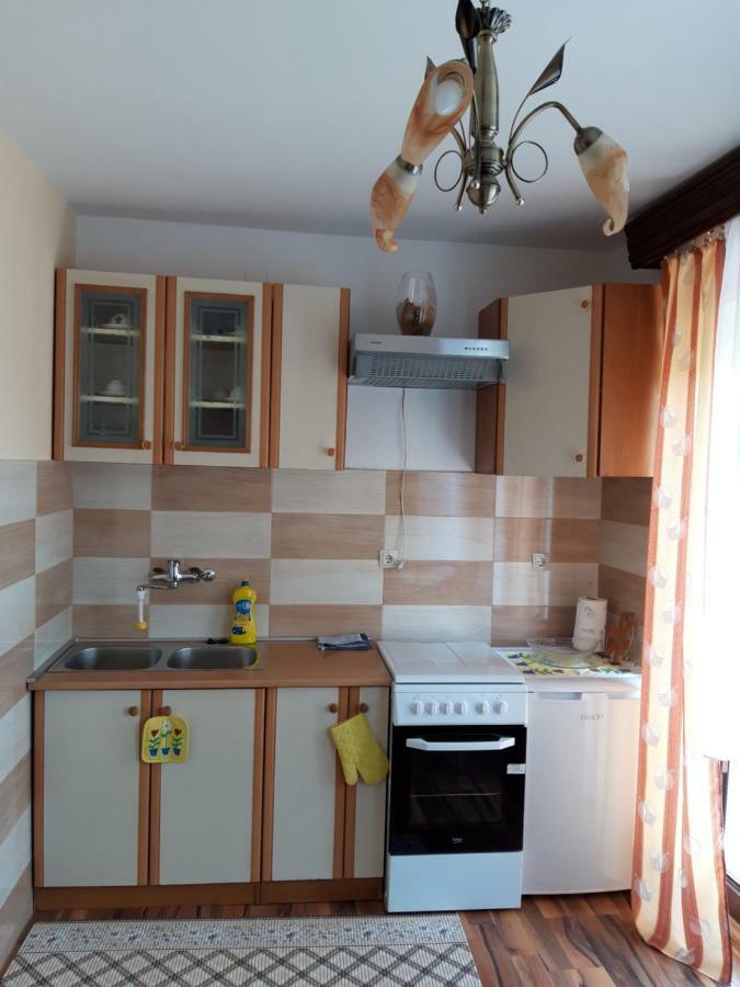 Studio apartman CENTAR Ogulin Bagian luar foto