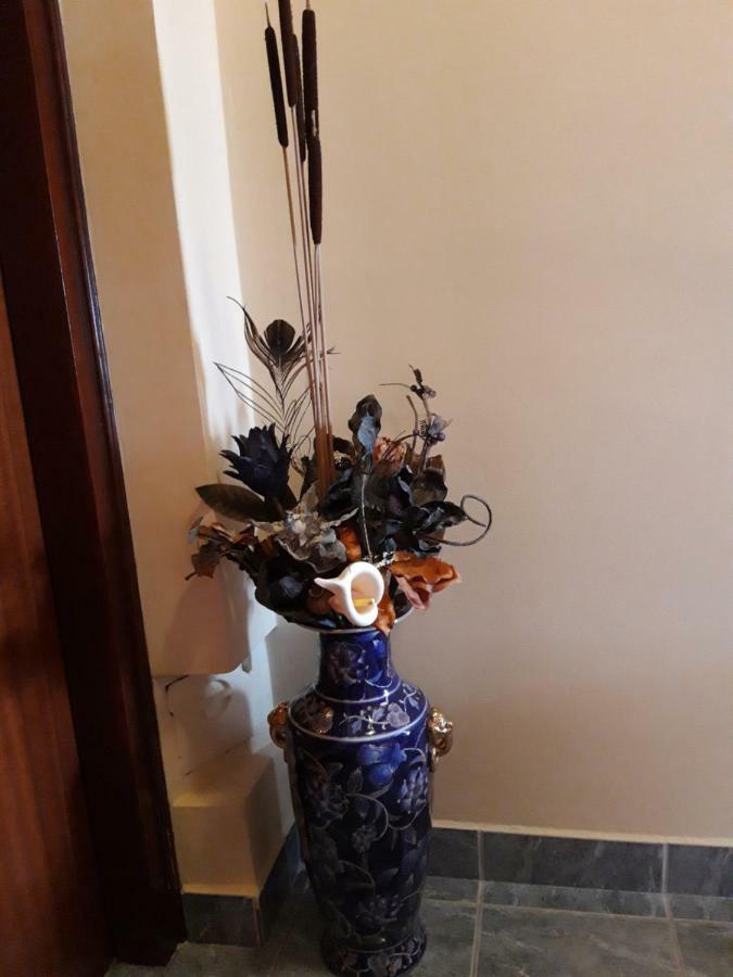 Studio apartman CENTAR Ogulin Bagian luar foto