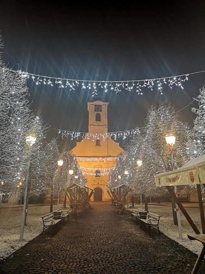 Studio apartman CENTAR Ogulin Bagian luar foto